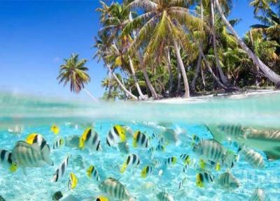 محبوب ترین جزایر جهان محبوب ترین جزایر جهان